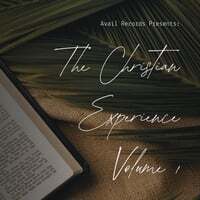 Avail Records Presents: The Christian Experience, Vol. 1